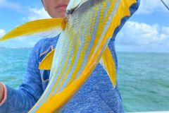 Create Listing: Light Tackle Fishing