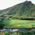 Create Listing: Waimea Canyon, Wailua River & Fern Grotto Tour