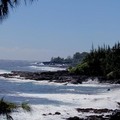 Create Listing: Unique Road to Hana