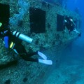 Create Listing: 2 Tank Shipwreck and Reef Dives - Waikiki