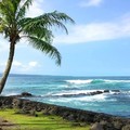 Create Listing: Beach Snorkel - Sea Turtle Lagoon and Black Sand Beach