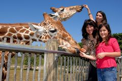 Create Listing: Zoo Miami: $17.05/Child (3-12)