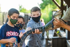 Create Listing: Sawgrass Reptile Exhibit Private Tour