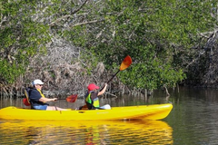 Create Listing: Kayak Rentals - Single & Double Sit-On-Top Kayaks