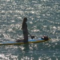 Create Listing: Casa Marina Paddleboard Rental -  1 to 8 Hours