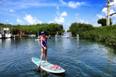 Create Listing: 2-Hour Paddleboard Rental - Lesson Included!