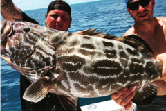 Create Listing: Split Charter - Limit 4 per Trip • 6 and 8 hour Trips