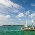 Create Listing: Morning Sail, Snorkel & Kayak Excursion - 4.5 Hours 