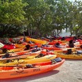 Create Listing: Kayak and Paddleboard Rentals (4 days)