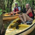 Create Listing: Private Mangrove Tunnel Kayak Eco Tour- 3hrs