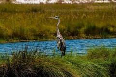 Create Listing: Private Everglades National Park Guided Kayak Eco Tour 