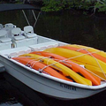 Create Listing: Marco Island Boat Assisted Kayak Eco Tour - 3.5 Hours