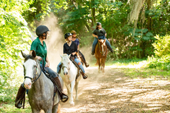 Create Listing: Historic Trail Ride - Ages 8+ • No Experience Necessary