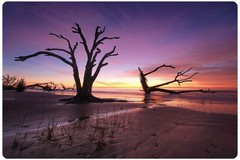 Create Listing: Boneyard Beach Sunrise Adventure 