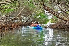 Create Listing: 50/50 Shell Key Kayak Tour - 3hrs