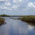 Create Listing: Full Day Tour: Dry Hike & Everglades 1 HR Airboat Adventure 