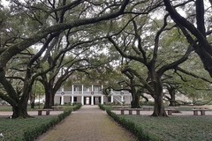 Create Listing: Whitney Plantation