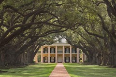 Create Listing: Oak Alley Plantation Tour - 5hrs