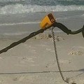 Create Listing: Metal Detector Rental - 2hrs