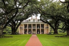 Create Listing: Oak Alley Plantation Tour - 5.5hrs