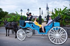 Create Listing: Private Carriage Tours - 1 hr