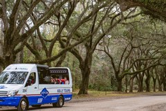 Create Listing: Wormsloe Plantation & Bonaventure Cemetery - 6hrs