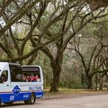 Create Listing: Wormsloe Plantation & Bonaventure Cemetery - 6hrs