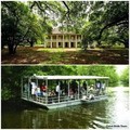 Create Listing: Pontoon Boat Swamp Tour & Whitney Museum Plantation - 8.5hrs