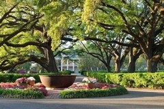 Create Listing: Oak Alley Antebellum Plantation - 5.5hrs