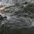 Create Listing: Lead Climbing Course - 6-7 hrs