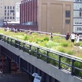 Create Listing: High Line Tour+Greenwich Village Food Tour+Historic Downtown