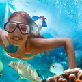 Create Listing: Snorkel St John Tour from Sapphire & Margaritaville- 6hrs