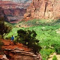 Create Listing: Zion National Park Tour From Las Vegas - Public - 11.5hrs