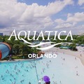 Create Listing: Aquatica Orlando - SAVE OVER 55%