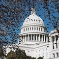 Create Listing: National Archives Museum + Capitol Hill Tour - Private