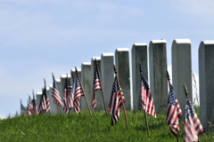 Create Listing: DC Highlights Tour with Arlington Cemetery - 4hrs