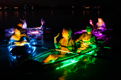 Create Listing: Night time Glow Paddle - Key West, FL (Spencer's Boatyard)