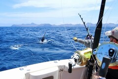 Create Listing: SALT Luxury Private Charter Big Game Saltwater Sport fishing