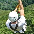 Create Listing: Ziplines with Monkeyland Puerto Plata