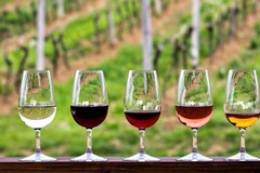 Create Listing: Half-Day Hill Country Wine Shuttle