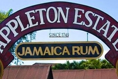 Create Listing: Pelican Bar & Appleton Rum Tour