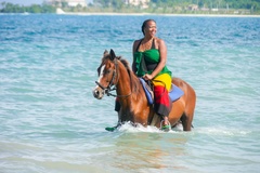 Create Listing: Package Deal #4 | Horseback Riding, Sea Tubing, and more