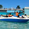 Create Listing: Speedboat (Dolphin &  Lovers Cave) Cruise