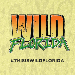 Wild Florida