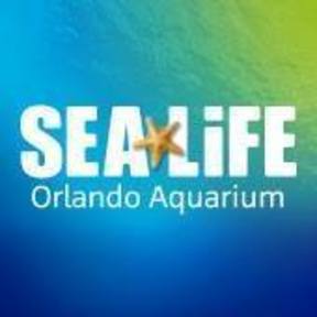 Sea Life Aquarium Orlando