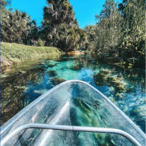 Get Up and Go Kayaking